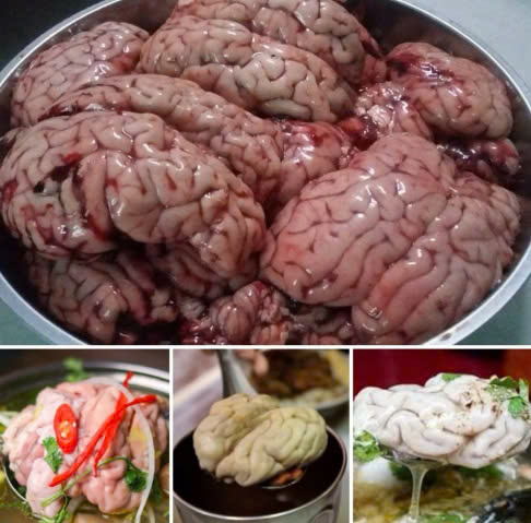 Ốc Bò 1 túi khoảnG 400gr - gần 2 bộ ốc To tươi cấp đông (giao tphcm)