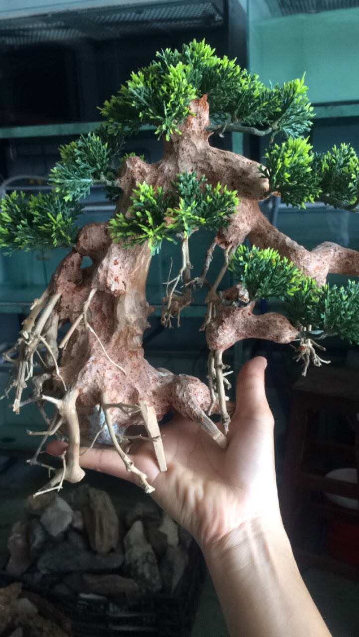 Lũa Bonsai loại trung Trang Trí Bể Cá - Bể Thủy Sinh (cao: 25cm rộng: 38cm)