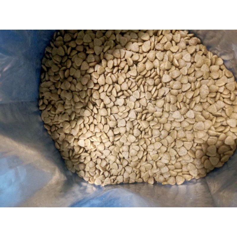 Hạt Catsrang cho mèo 78k 1kg