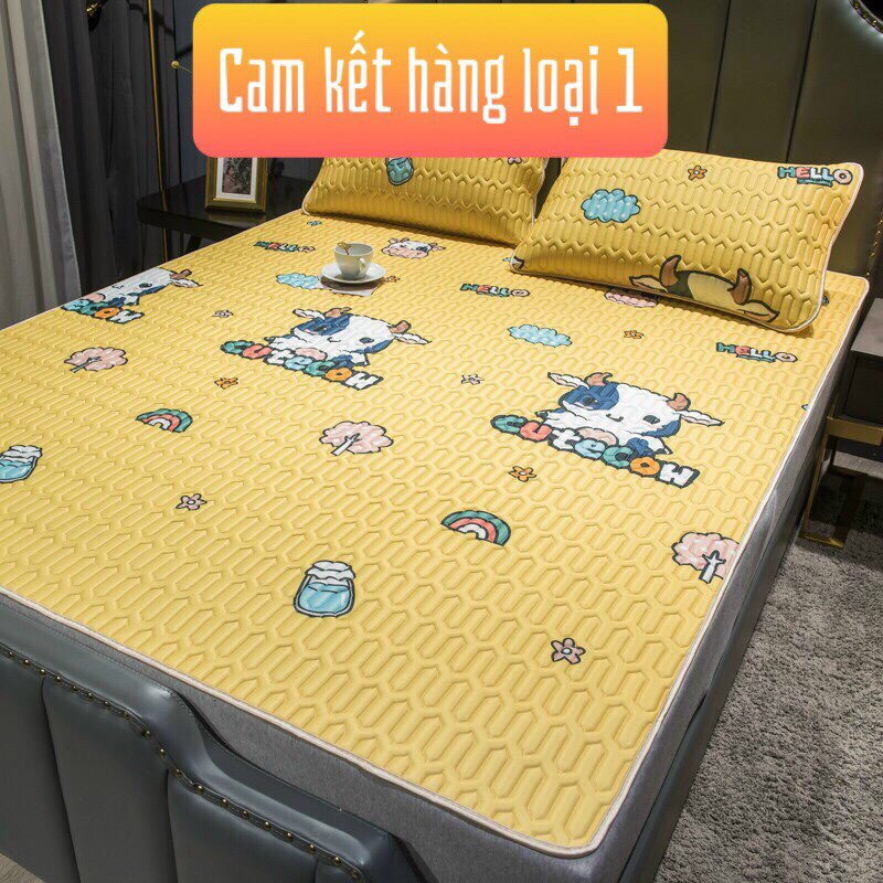 Chiếu điều hòa TENCEL 1m6x2m,1m8x2m,2mx2m2 loại 3D cao cấp  mủ cao su non thiên nhiên loại cao cấp.Cam kết 100% hàng chuẩn nếu sai đền gấp 10 lần