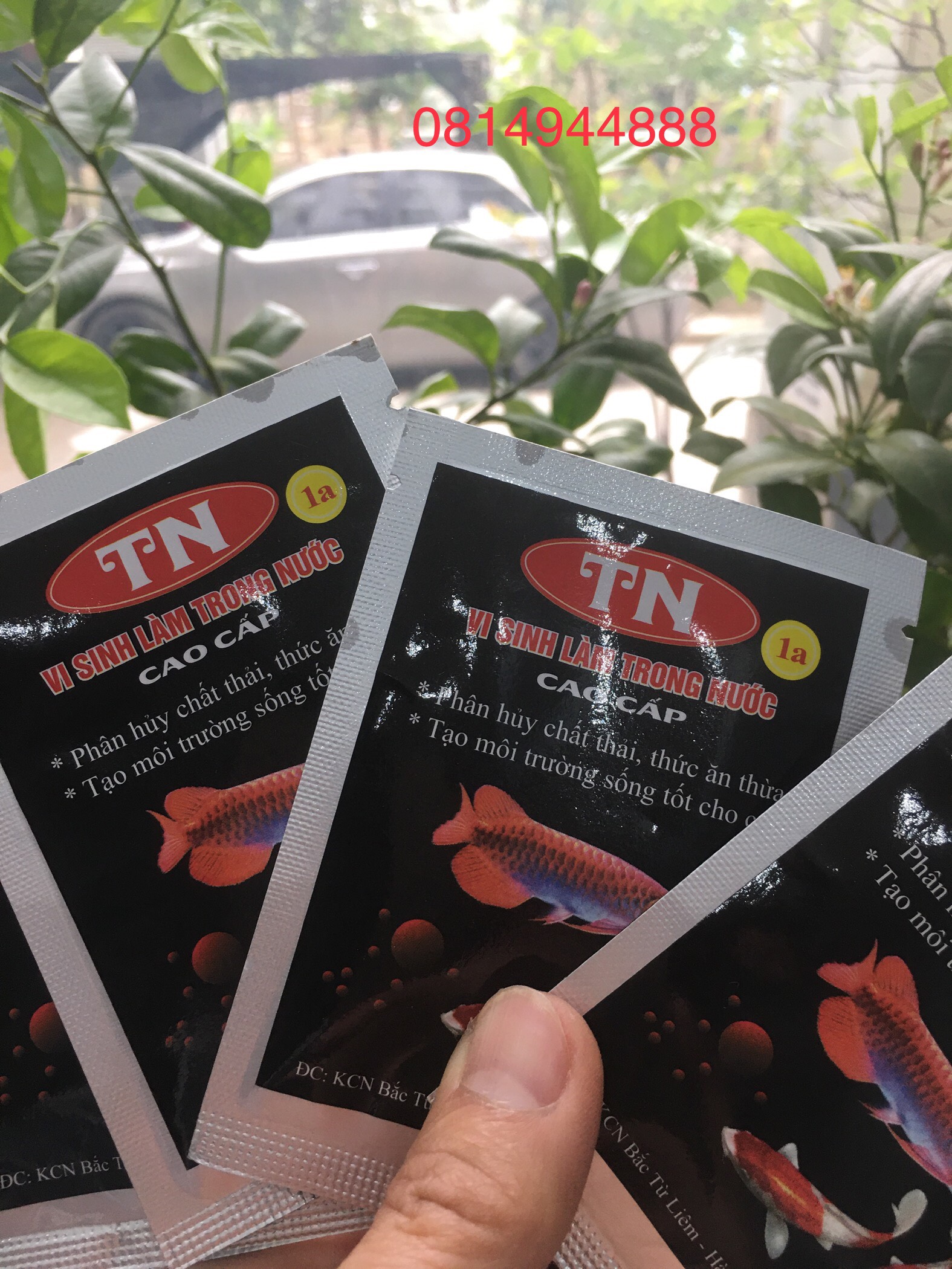 Men làm trong nước bể cá cảnh,men vi sinh bể cá,men phân hủy chất hữu cơ dạng bột TN 1A CAO CẤP.