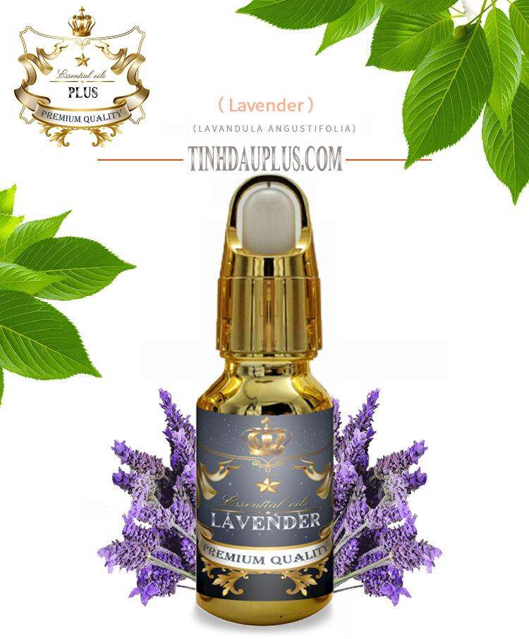 Tinh Dầu Oải Hương Plus Lavender đuổi muỗi mụn làm đẹp thư giãn tinh thần nhẹ nhàng(20ML)