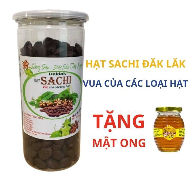 500gr Hạt Sachi Organic ĐăkLăk sấy chín, Hạt Sa chi Dak Lak đặc biệt ngon - Túi 500gam