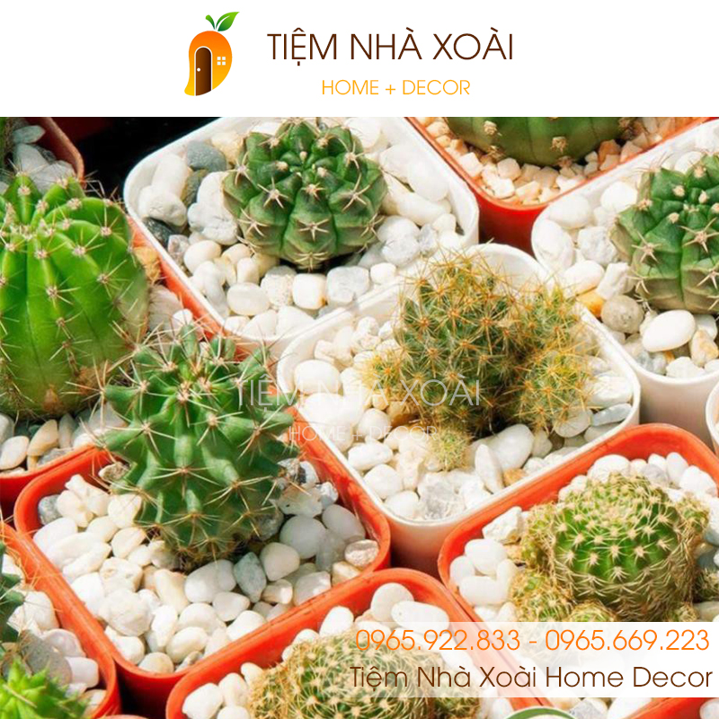 Sỏi Trắng Trang Trí chậu cây, lọ hoa, bể cá cảnh