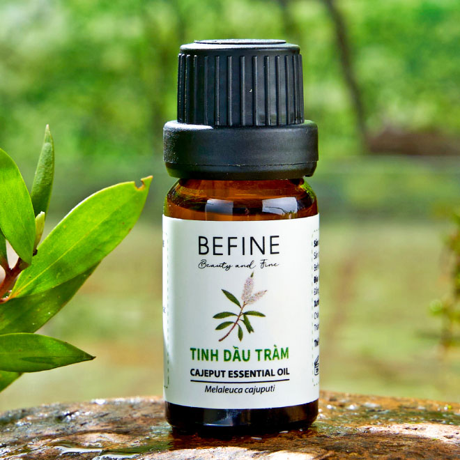 Tinh dầu tràm gió Befine nguyên chất 5ml