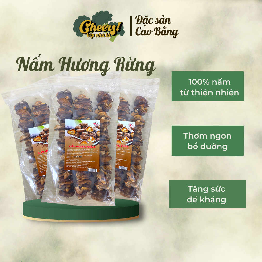Nấm hương rừng cao bằng phan hoàng 100% tự nhiên .