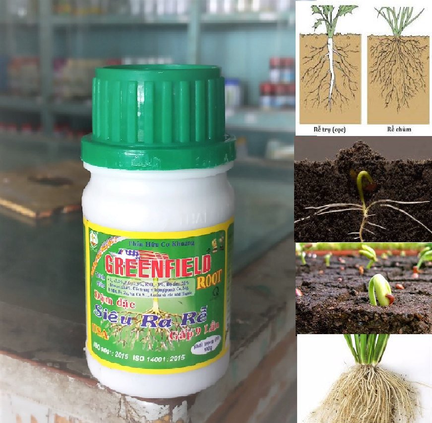 Phân bón hữu co khoáng Greenfield Root siêu ra rễ 100g