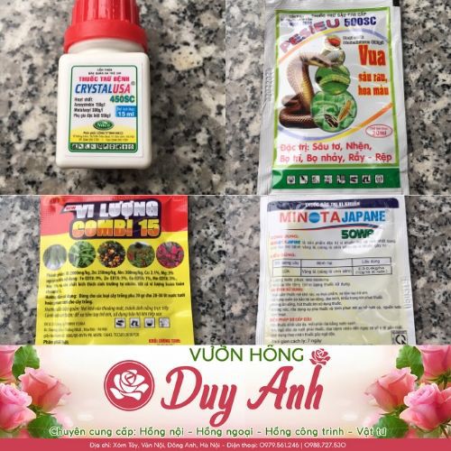 Combo 4 sản phẩm giúp hoa hồng luôn sạch sâu bệnh