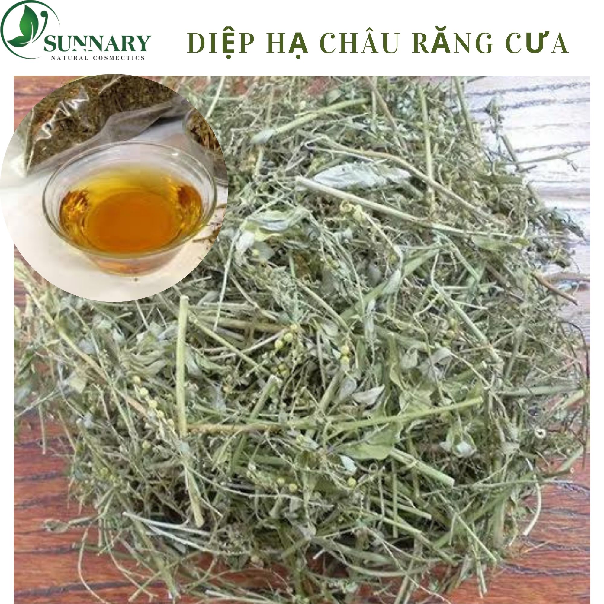 [HCM]1kg Diệp hạ châu (Cây chó đẻ răng cưa) sấy khô hỗ trợ điều trị viêm gan B  tăng sức đề kháng của cơ thể, gia tốc quá trình phục hồi nhu mô của lá gan và quả thận và khả năng bảo vệ tế bào gan