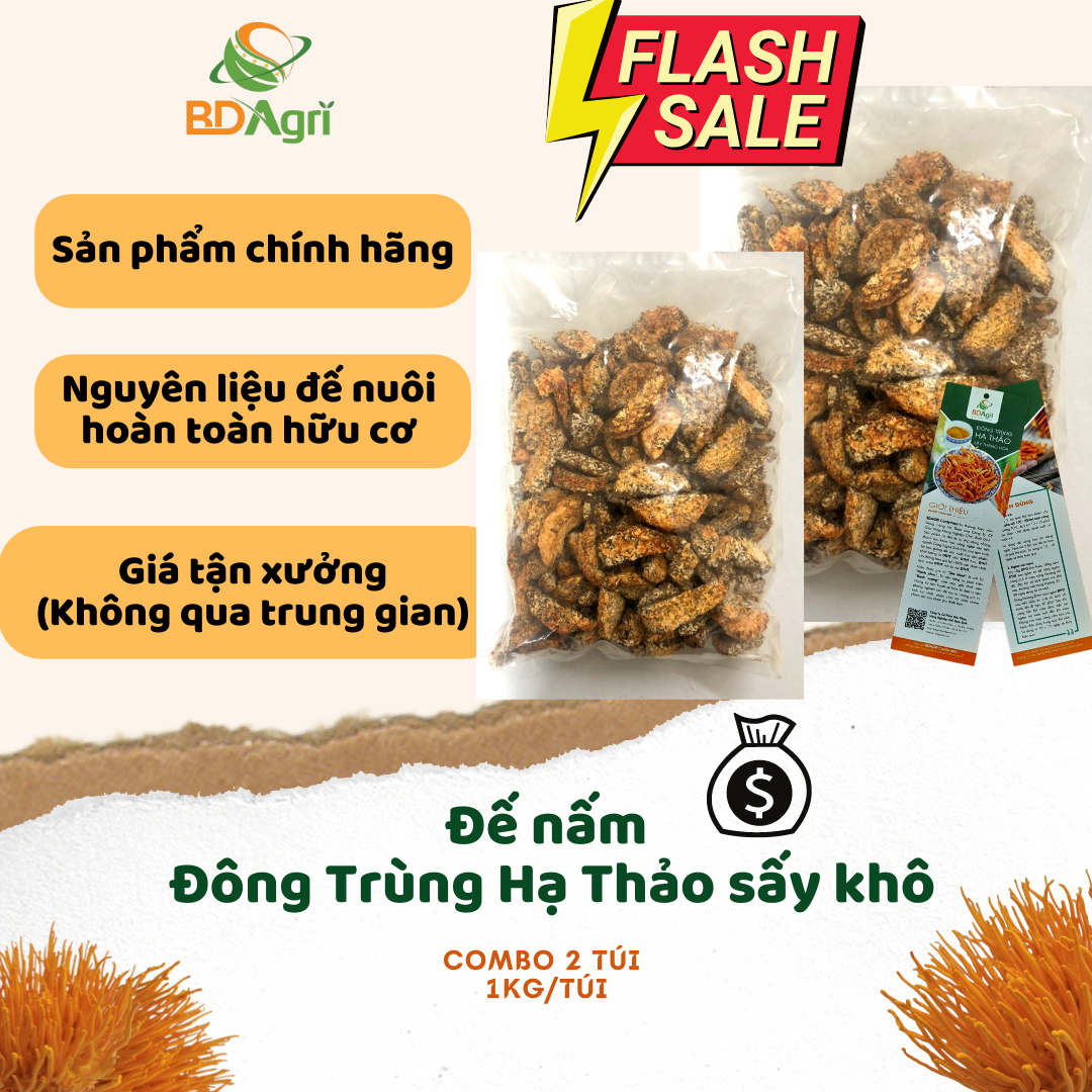 ĐẾ NẤM ĐÔNG TRÙNG HẠ THẢO BDAGRI SẤY KHÔ COMBO 2KG