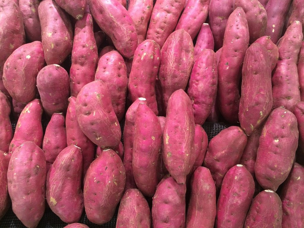 Khoai Lang Hàng Nông Sản 1 KG (SẢN PHẨM MẪU KHÔNG BÁN)
