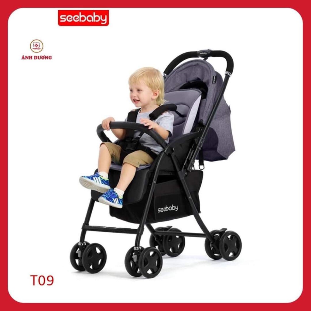 Xe Đẩy 2 chiều Seebaby T09A Đẳng Cấp, Sang Trọng
