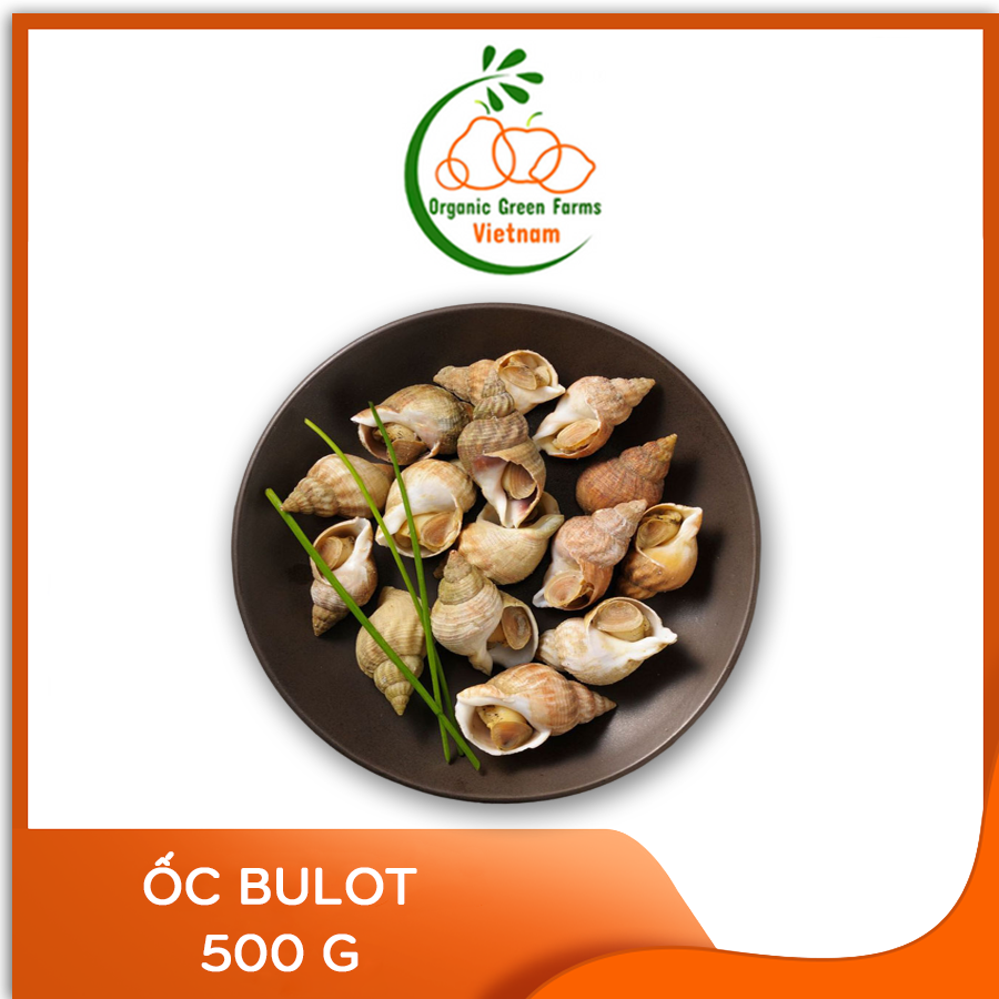 [OGF] - Ốc Bulot (500g) - Thích hợp với các món nướng mắm tiêu, nướng mọi, hấp sả, rang muối,... - [Giao nhanh TPHCM]
