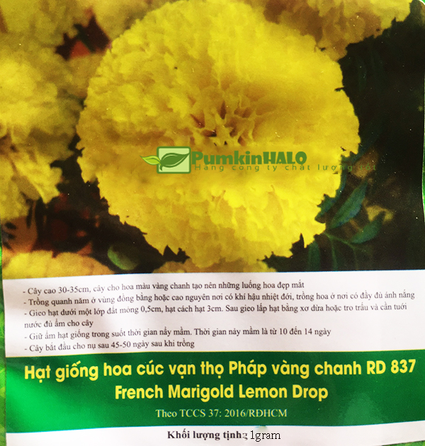 [HCM]Gói 1gram hạt giống hoa vạn thọ pháp vàng chanh -hàng công ty chất lượng cao -hoa đẹp dễ trồng