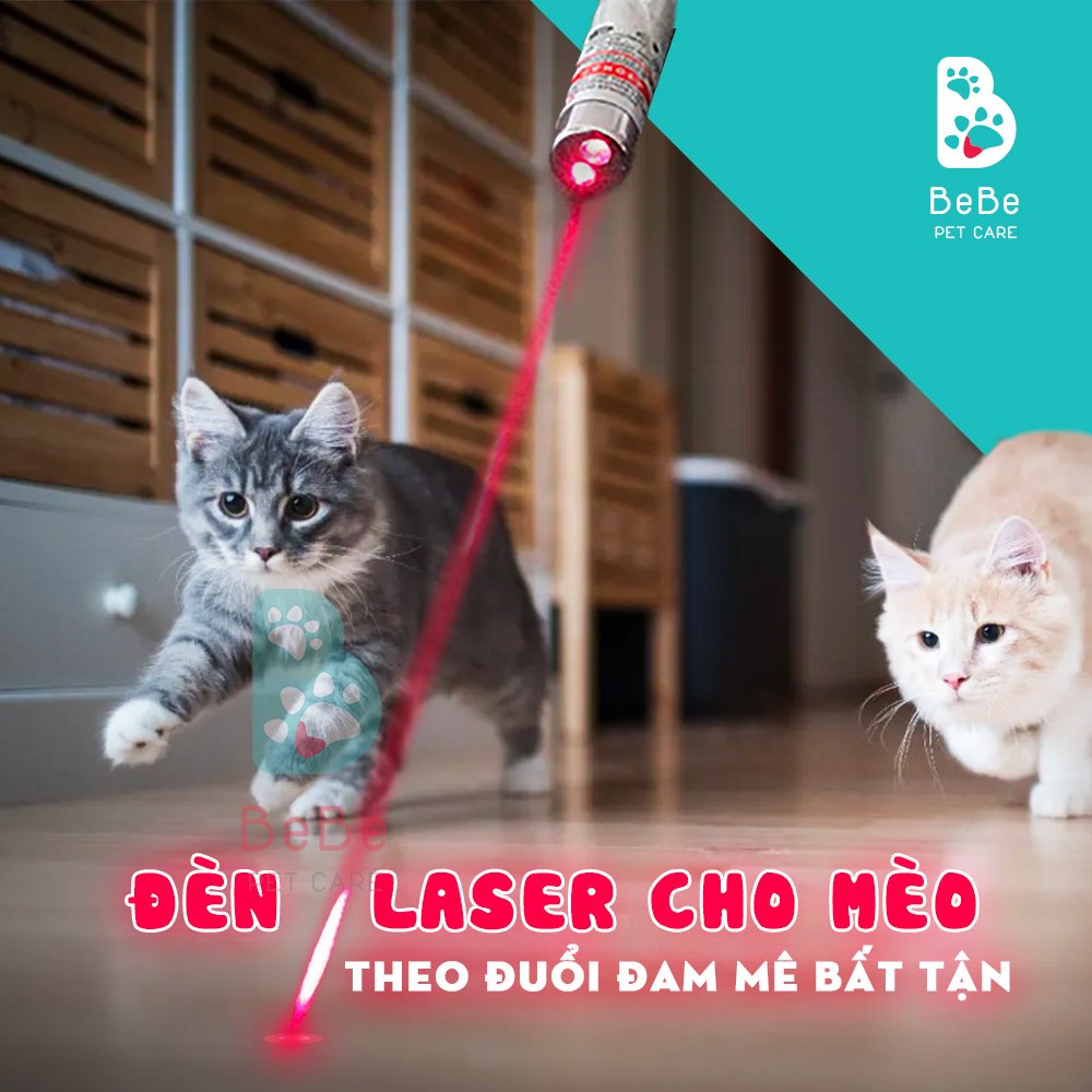 Đồ chơi đèn laser vờn boss cưng - đồ chơi cho mèo
