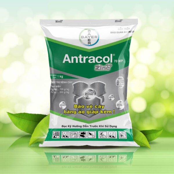 Antracol 70WP- Thuốc nấm bệnh cây trồng gói 100gr