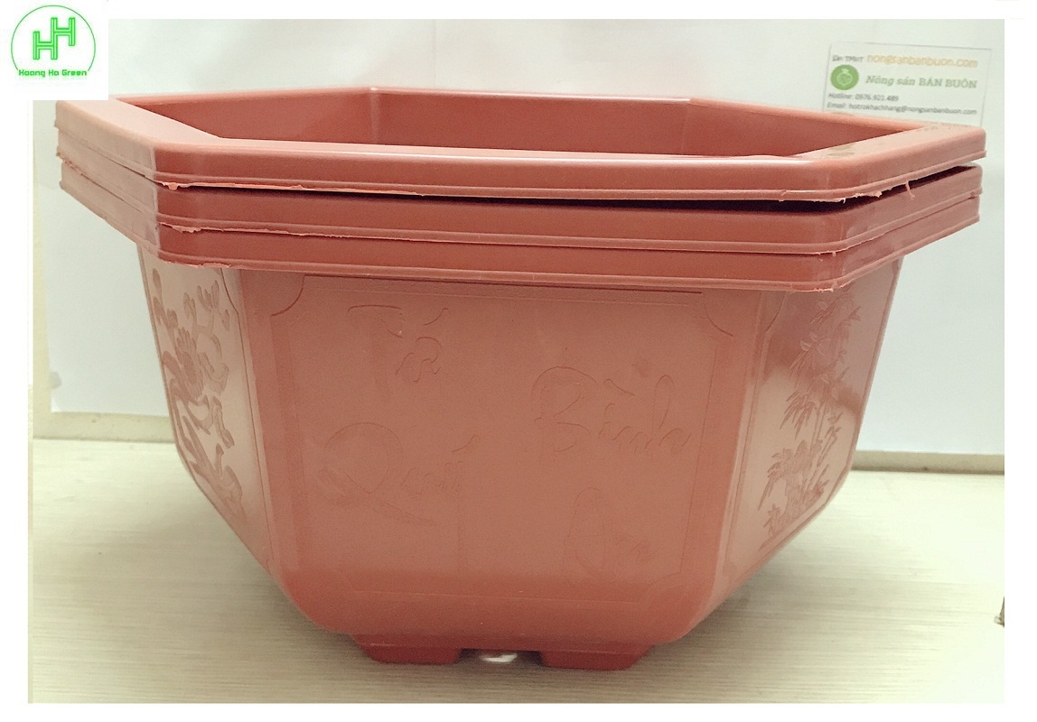3 Chậu Nhựa Lục Giác Trồng Hoa, Cây Cảnh Bình Thuận Bonsai 350x210