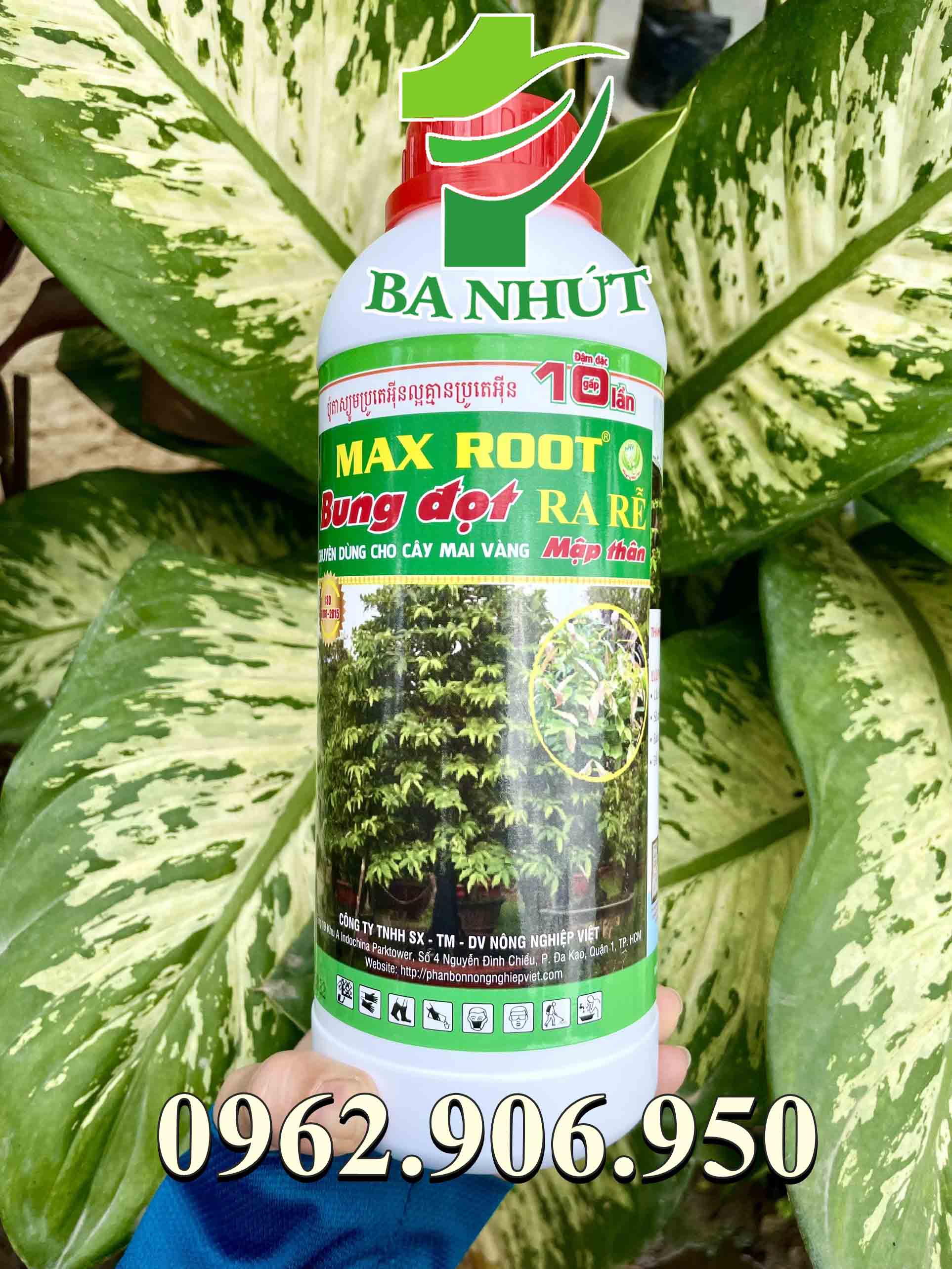 Phân bón lá max root - bung đọt ra rễ mai vàng 1 lít, chuyên dùng cho mai vàng