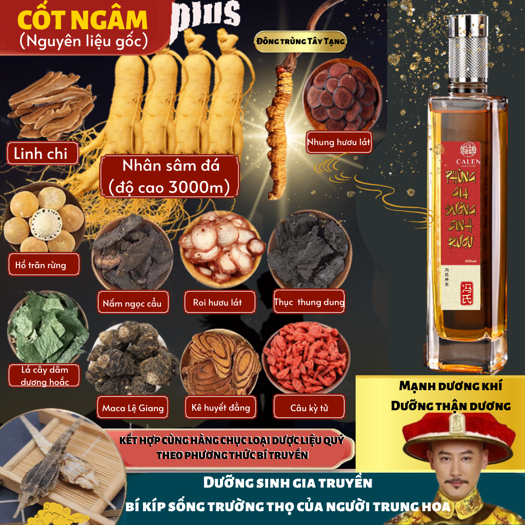  Cốt ngâm dưỡng sinh trường thọ Phùng Gia cốt ngâm rượu bổ thận ích khí  dưỡng gân cốt lưu thông máu não chai 500ml 