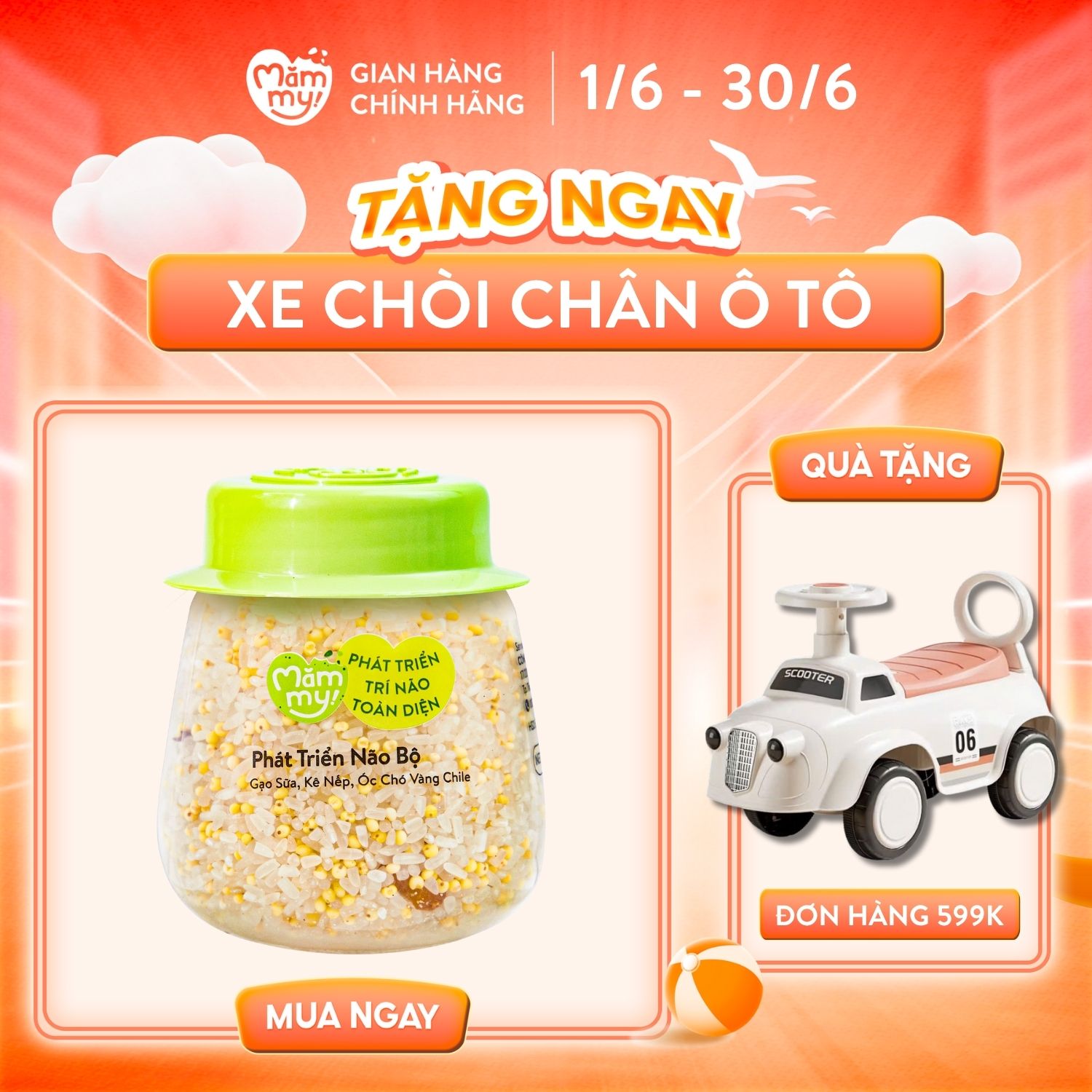 Hạt mix Mămmy cho bé ăn dặm phát triển não bộ trên 6 tháng gạo sữa, kê nếp và nhân óc chó chile, hũ 135g