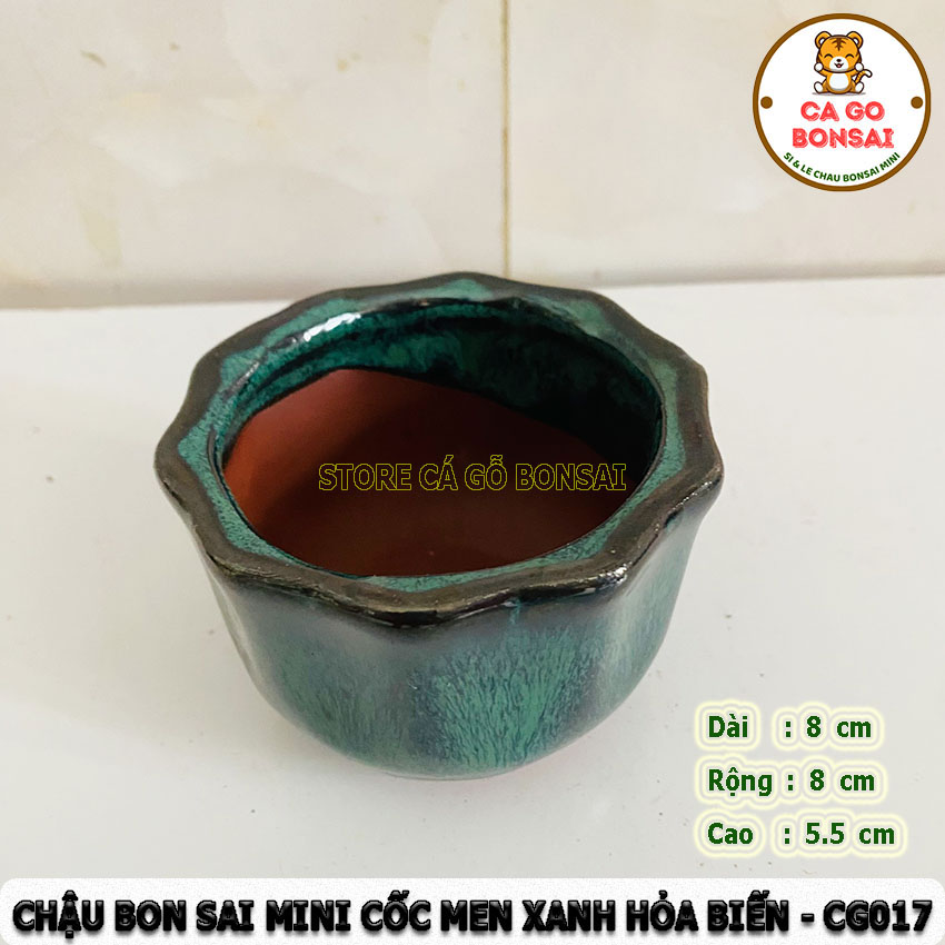 Chậu bonsai mini cốc men xanh hỏa biến - cg017