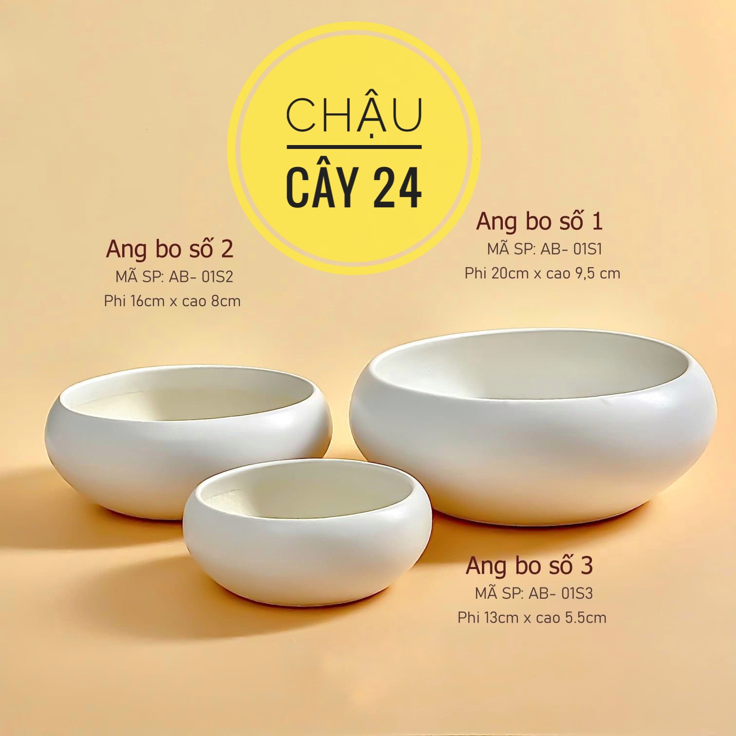 COMBO 3 Chậu Sứ Ang Thấp Trồng Sen Đá Xương Rồng Terrarium cây cảnh bonsai