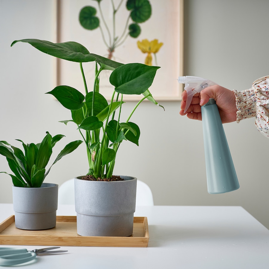 Bình xịt nước phun sương tưới cây Tomat IKEA - Xanh