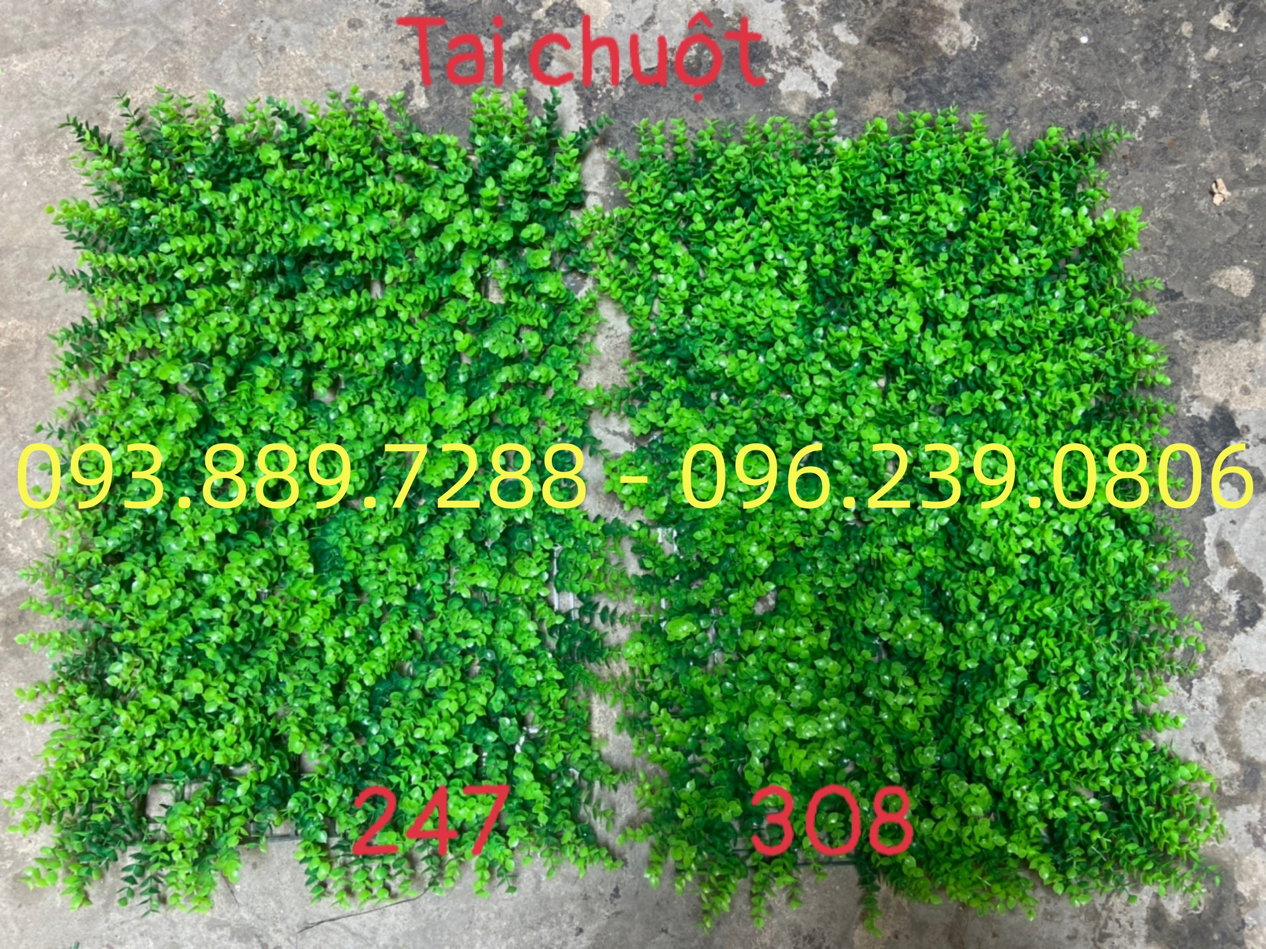 Tường cây giả - tấm cỏ nhựa tai chuột 308 - 10 tấm
