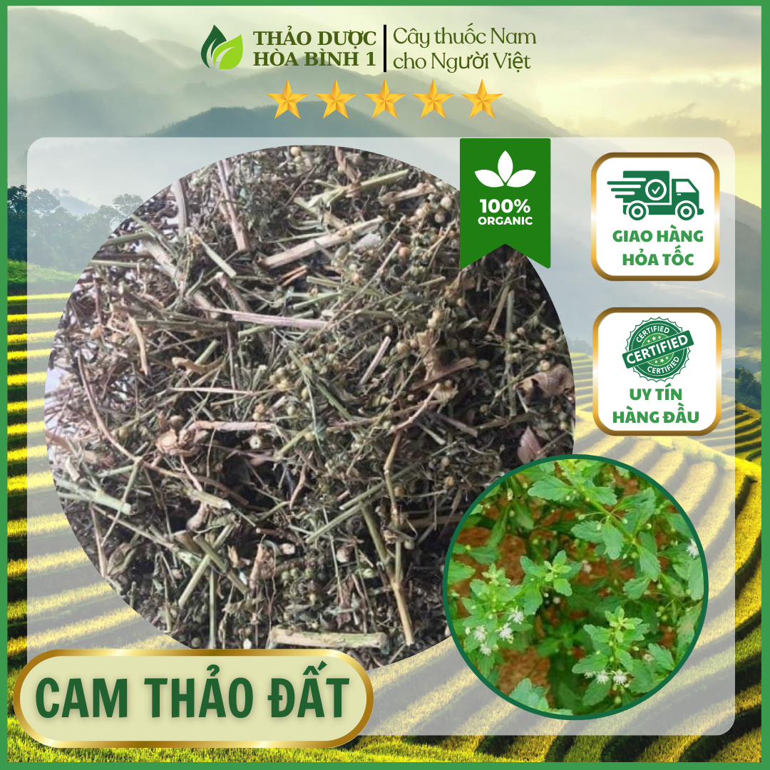 Cây cam thảo đất khô 500g hb180