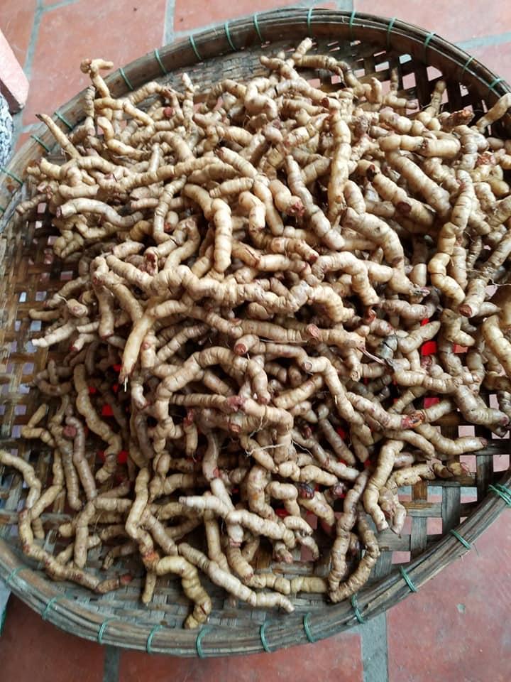 1kg Ba kích tím - Chính Hiệu Quảng Ninh