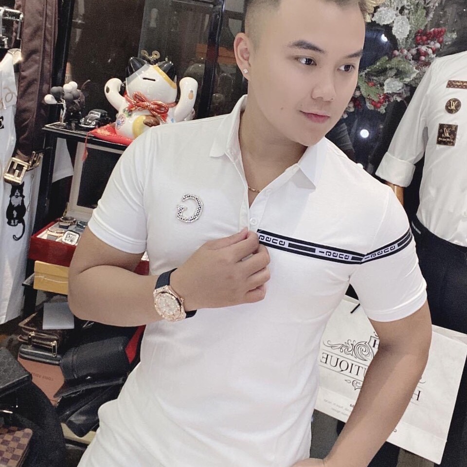 [HCM]ÁO THUN POLO NAM MẪU MỚI CHẤT COTTON CAO CẤP THỜI TRANG THỎ TÂY SHOP94 PL01