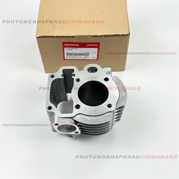Lòng Xy Lanh AB 110 Fi 2008, AB Đầu Bò 2011 2012, Lòng zin Air Blade 110 2009 2010, AB 110 Đầu To - 12100KVBT00