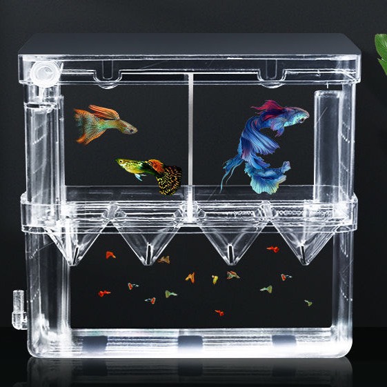 Lồng cá đẻ, lồng tách cá bảy màu guppy, lồng dưỡng cá bệnh bằng Mica trong suốt