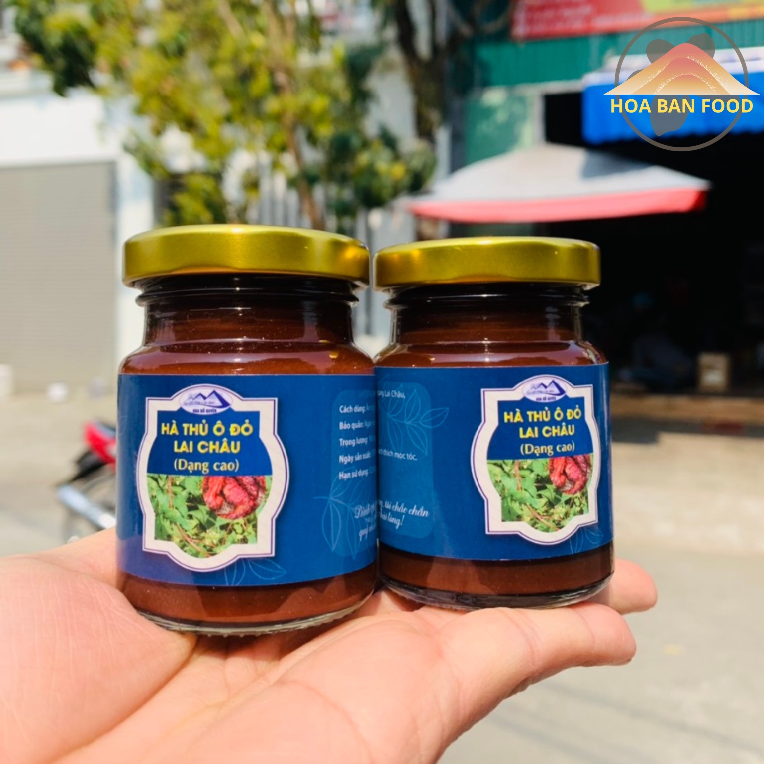 Cao hà thủ ô đỏ nguyên chất HOA BAN FOOD Sìn Hồ, Lai Châu của người vùng cao Tây Bắc được nấu từ củ hà thủ ô to, nạc, già tươi và khô