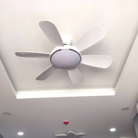 Quạt trần đèn 6 cánh,tặng kèm điều khiển từ xa,led 3 chế độ ánh sáng,động cơ dc siêu tiết kiệm điện
