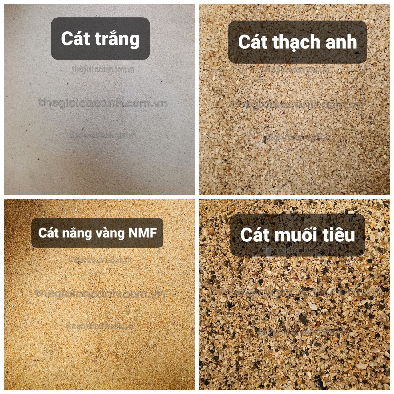 Cát trang trí, trải nền, lọc nước cho bể cá – cát nắng vàng | cát trắng | cát thạch anh | cát muối tiêu – 1kg