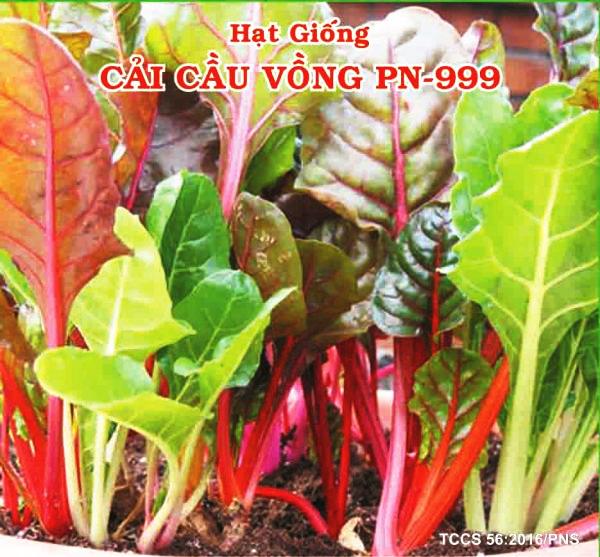 [HCM]CẢI CẦU VỒNG PHÚ NÔNG PN-999_GOIS10GRAM  CHẤT LƯỢNG TỐT .