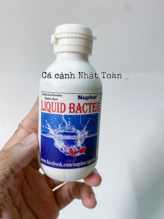 "hoàn tiền đến 10%" liquid bacter nuphar chống sốc nước cho cá cảnh