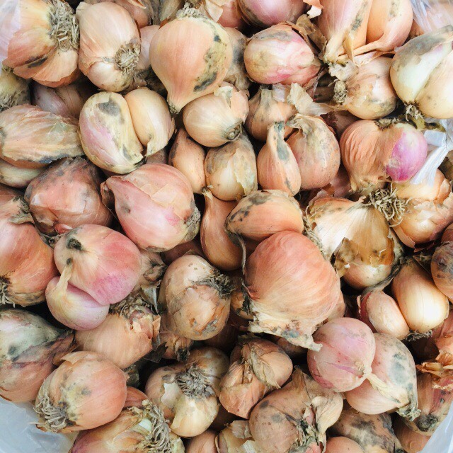 Hành ta khô cắt cuống 500g