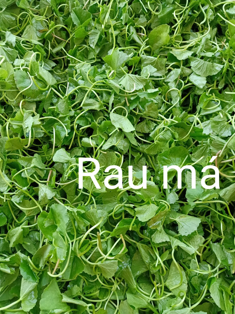Dextox rau má