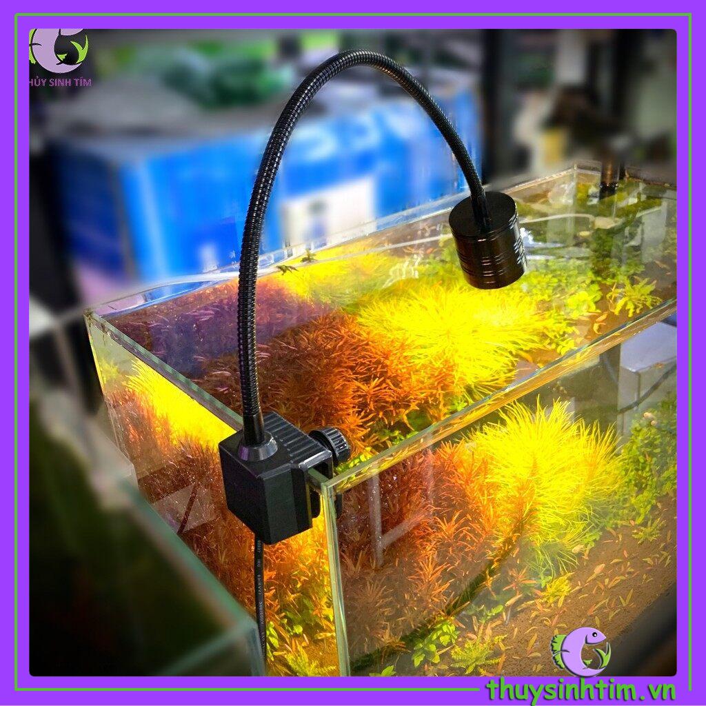 Đèn rọi 3 chế độ màu gebo dùng cho bể cá, bể biotope
