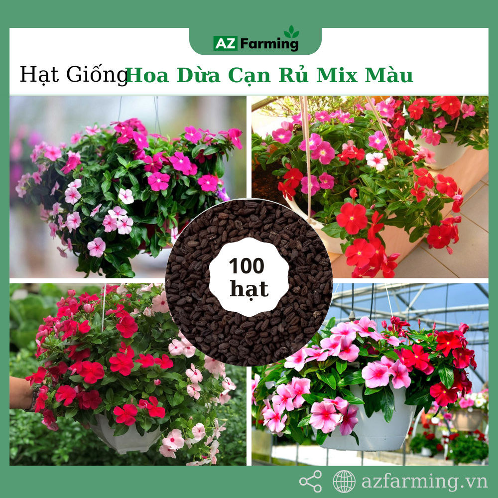 Hạt giống hoa dừa cạn rủ mix nhiều màu - gói 100 hạt - az farming