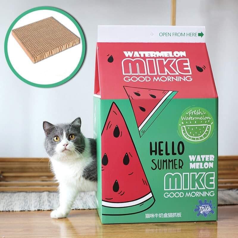 Hộp box cào móng cho mèo - kèm bàn giấy cào móng