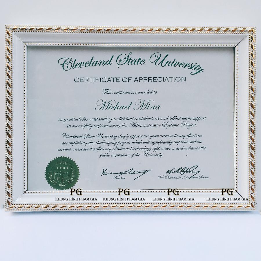 [HCM]Khung Bằng Khen A4- A3 Giá Rẻ Hồ Chí Minh Khung Hình Phạm Gia PGBK1