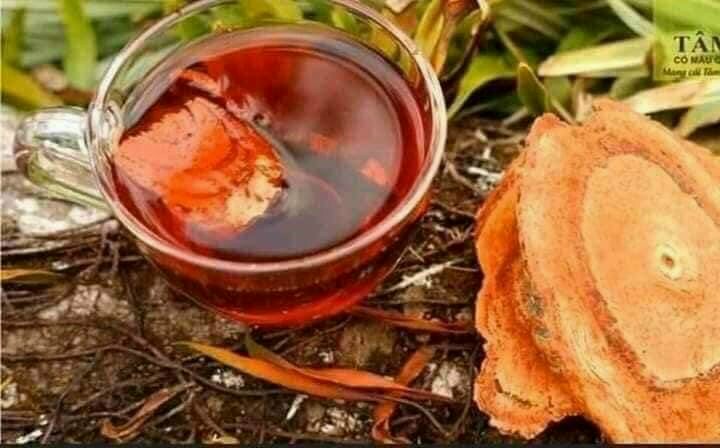 Cỏ máu / cỏ máu tăng cân / cỏ bổ máu,tăng cân