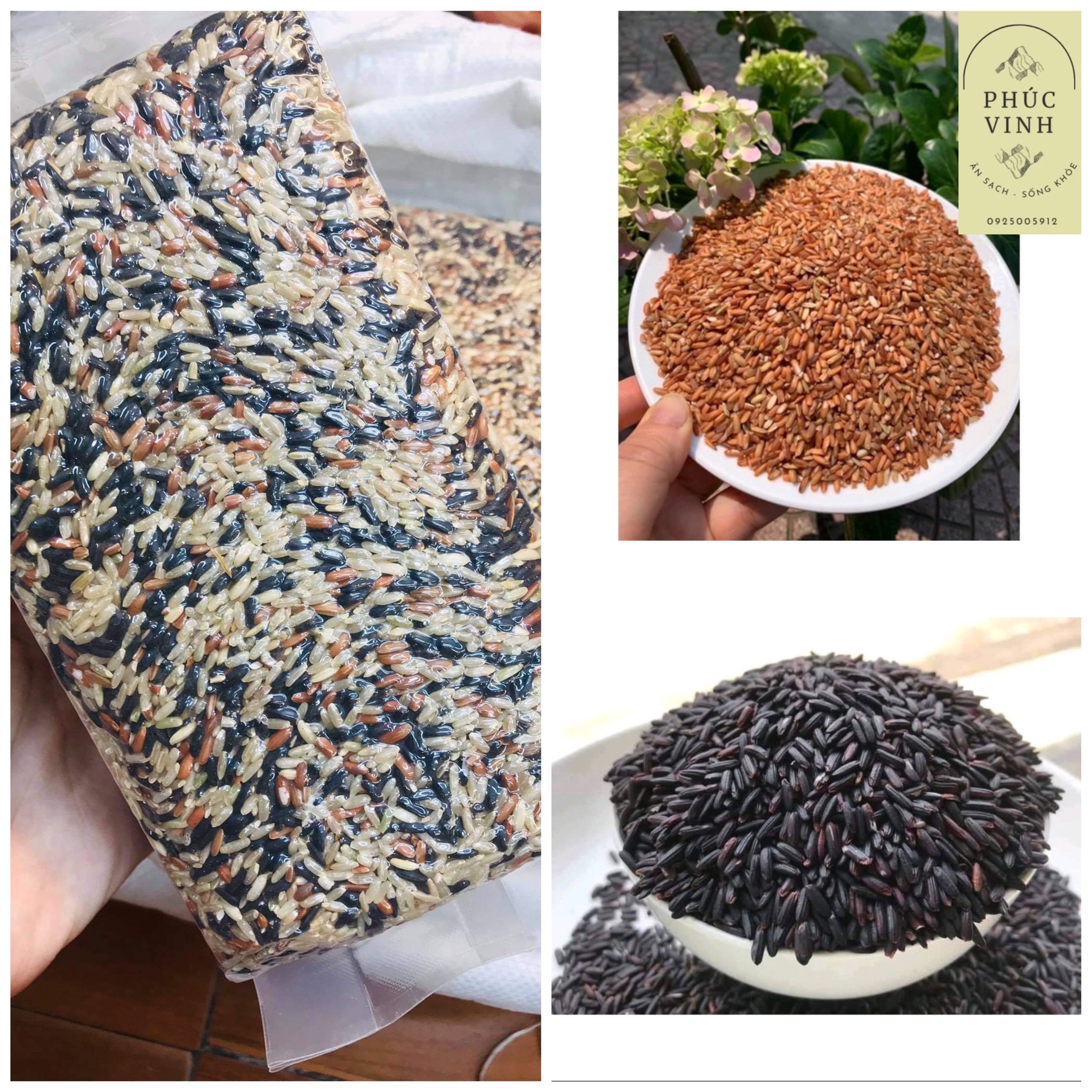 Combo 3 Kg gạo lứt dẻo Điện Biên dùng thử - Túi hút chân không