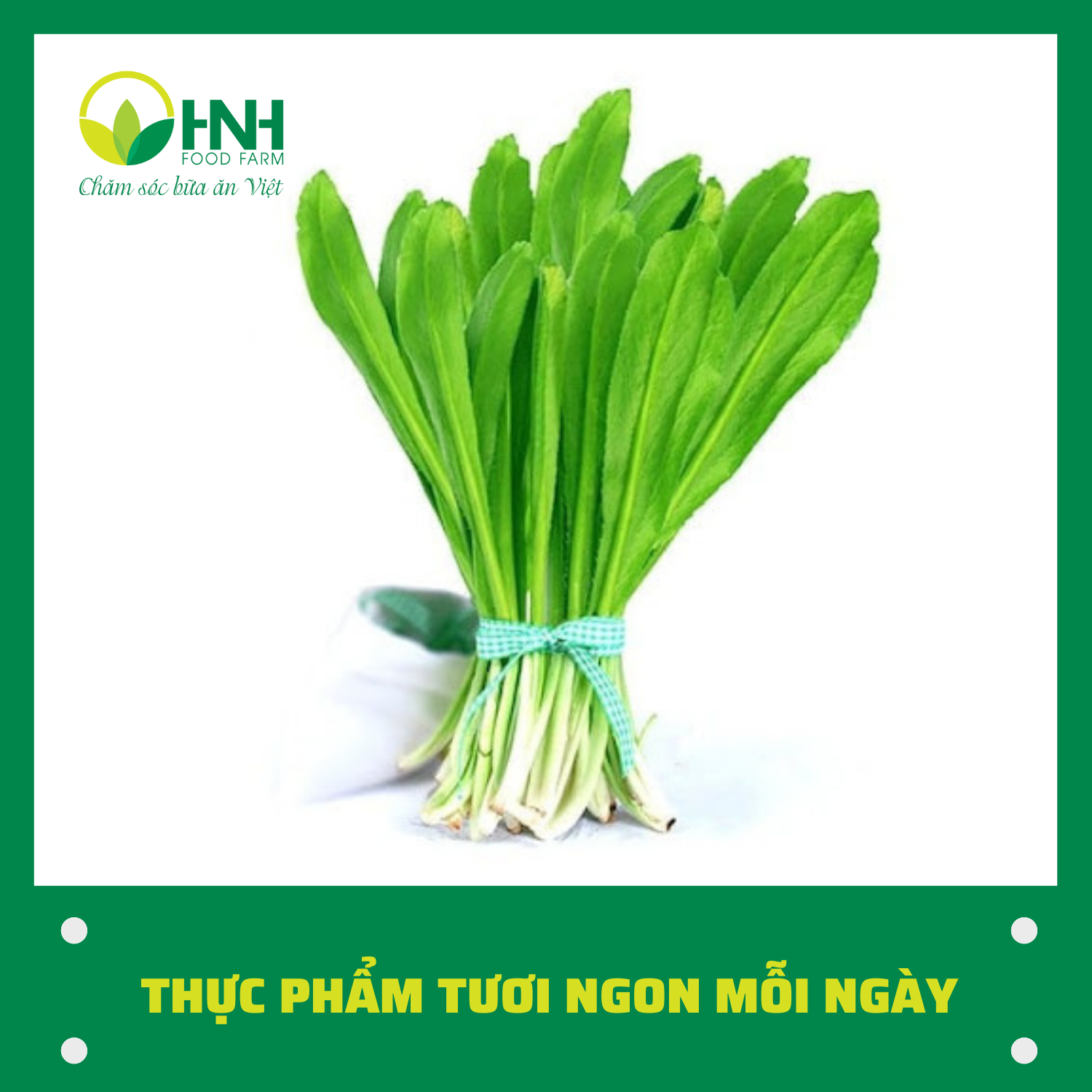[CHỈ GIAO HÀ NỘI] Rau mùi tàu sạch ngon, trợ giá mùa dịch - HNH Food Farm