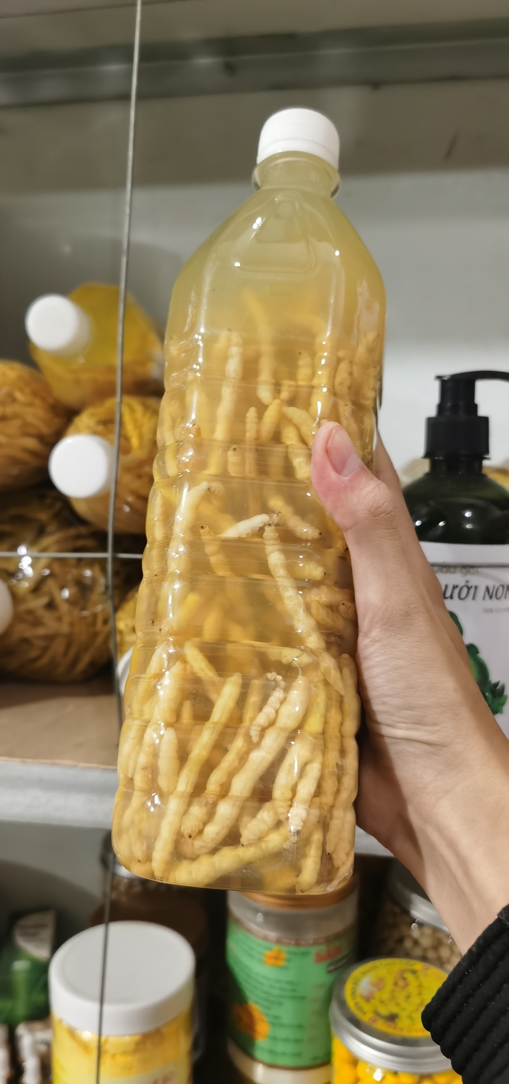 Sâu chít ngâm sẵn điện biên - đặc sản tây bắc - đặc sản 27