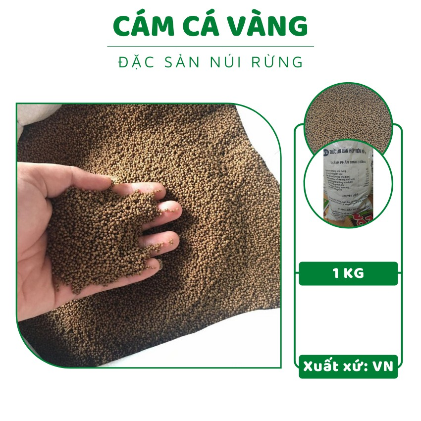 Cám cá vàng cám cá Koi AF CA01 hạt 1ly tăng size nhanh lên màu mạnh - 1kg, cám, cám cá, cám cá koi, thức ăn cho cá, thức ăn