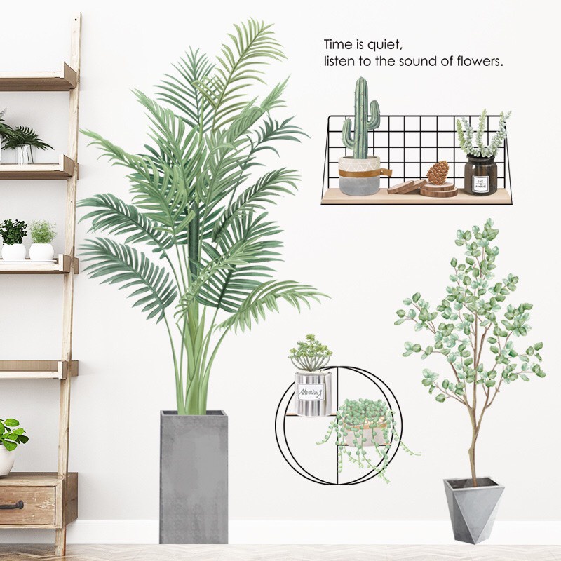 Decal dán tường chậu cây cảnh và cây xương rồng